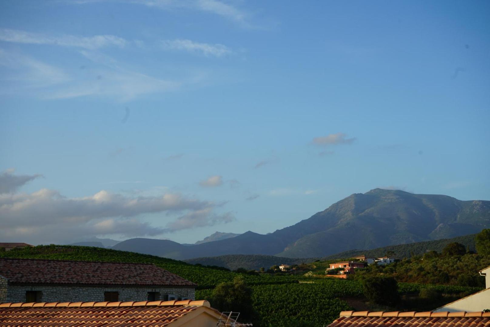 Residence Catalina Saint-Florent  Bagian luar foto