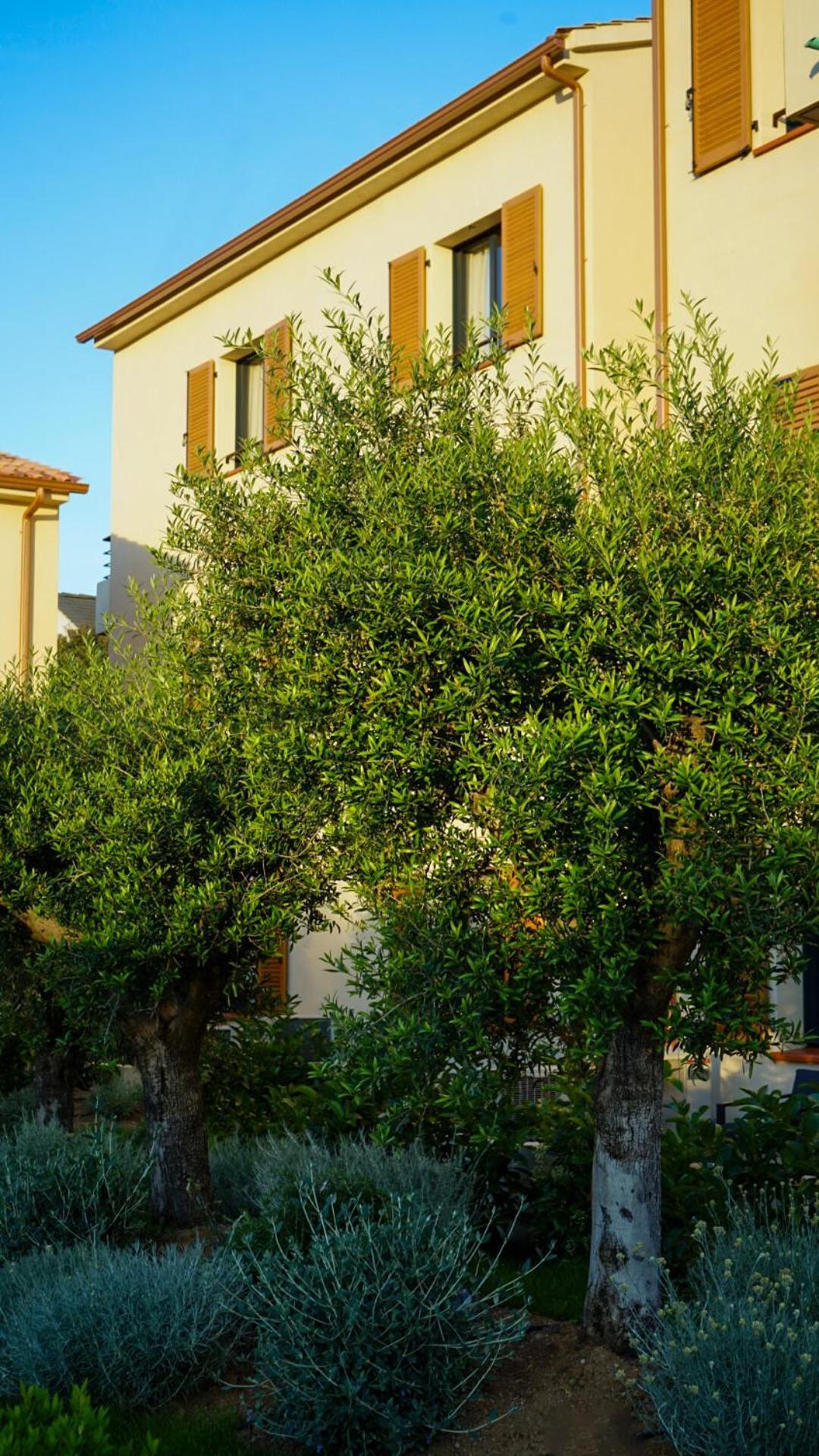 Residence Catalina Saint-Florent  Bagian luar foto