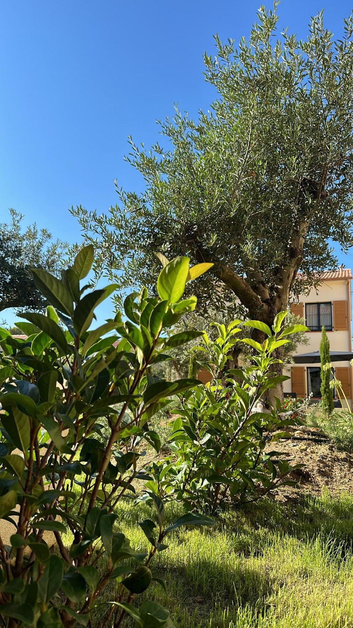 Residence Catalina Saint-Florent  Bagian luar foto