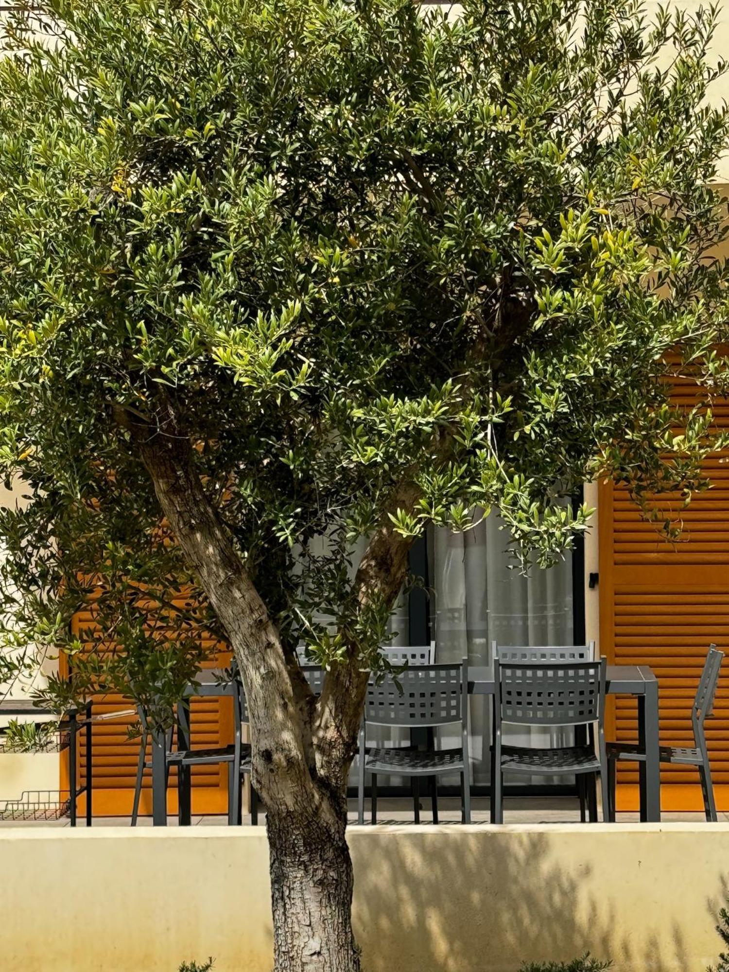 Residence Catalina Saint-Florent  Bagian luar foto